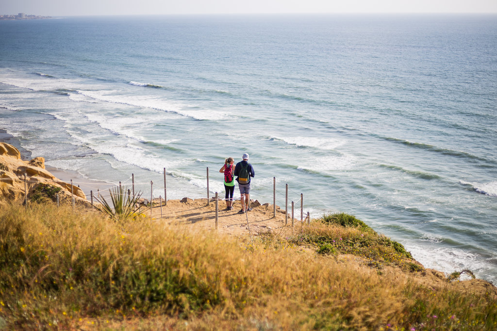 Pacific ocean coast. Cliffs. Flower and plant in the spring. Two people on the cliff