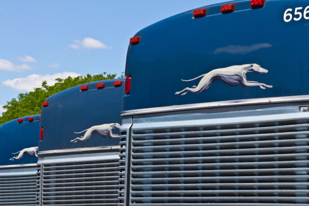 Indianapolis - Circa June 2016: Greyhound Buses. Greyhound offers Inter-City Service to over 2,700 Destinations I